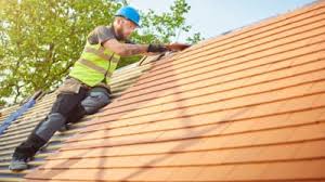 Best Storm Damage Roof Repair  in Carlisle, KY