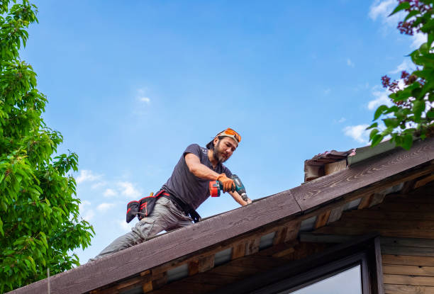 Best Commercial Roofing Services  in Carlisle, KY